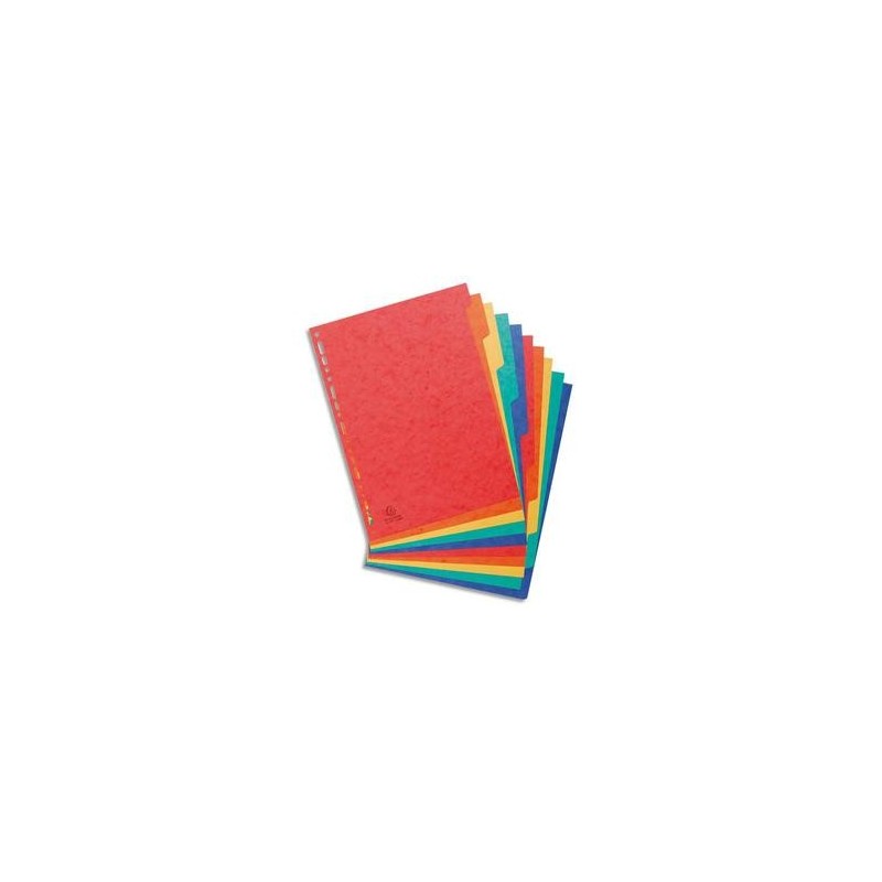 EXACOMPTA Intercalaire 10 positions en carte lustrée 3/10ème 225g
